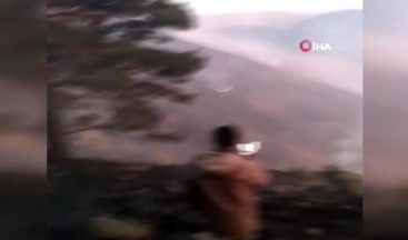 Ardahan’da Orman Yangını