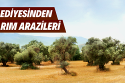 Aydın Efeler Belediyesince Tarım Arazileri Satışa Çıkarıldı