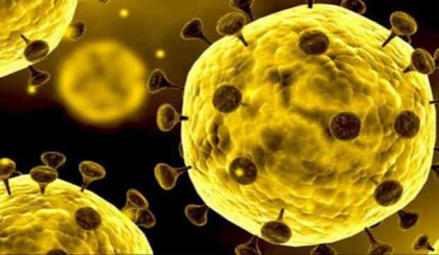 İl İl Koronavirüs Hasta Sayıları Açıklandı