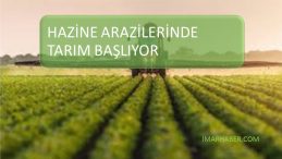 KOVİD-19 MÜCADELEDE HAZİNE ARAZİLERİ ÇİFTÇİLERE AÇILIYOR