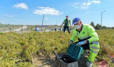 Ankara Kavşakları Otomatik Sulanacak