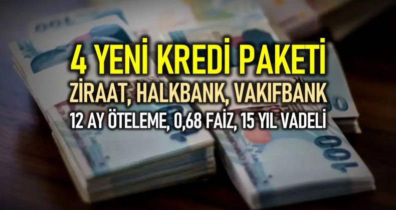 Kamu Bankaları Kredi Paketlerini Duyurdu