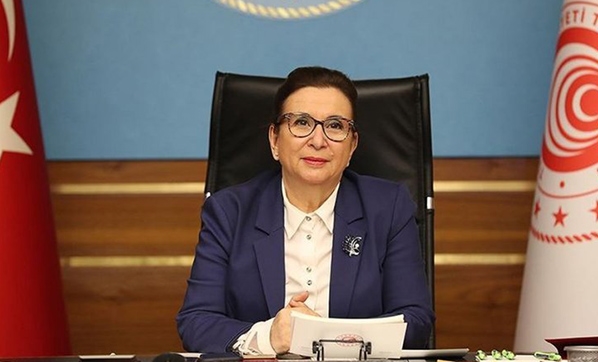 Yetki Belgesi Olmayan Emlakçılık Yapamayacak