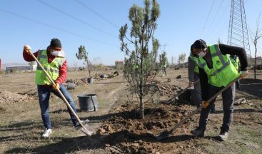 20 bin Fidan ve 30 bin Süs Bitkisi Toprakla Buluştu