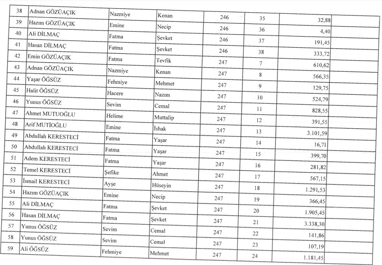 Ardeşen 2B Alanları Kullanıcı Listesi