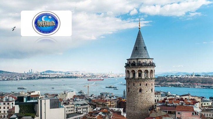 İstanbul Milli Emlak Tarafından 10 İlçede 118 Taşınmaz Satılacaktır