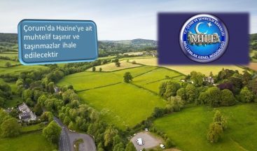 Çorum’da Hazine’ye ait Taşınır ve Taşınmazlar İhale Edilecek