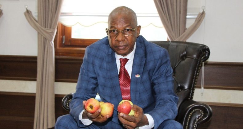 Amasya Elmasına Afrika’dan Talip Çıktı