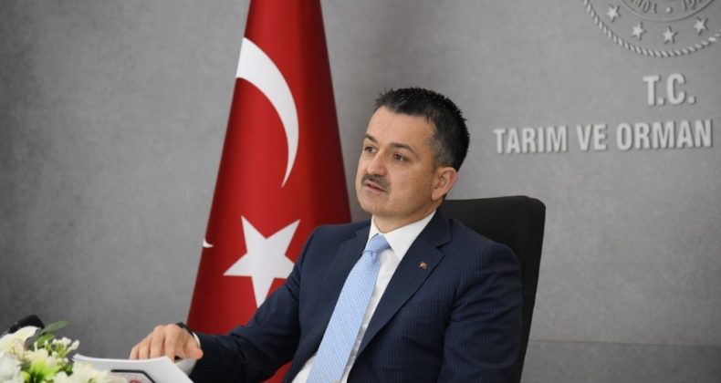 Bakan Pakdemirli: “Ormancılıkta daha çok yatırımı Ege illerine sağlamaya devam edeceğiz”