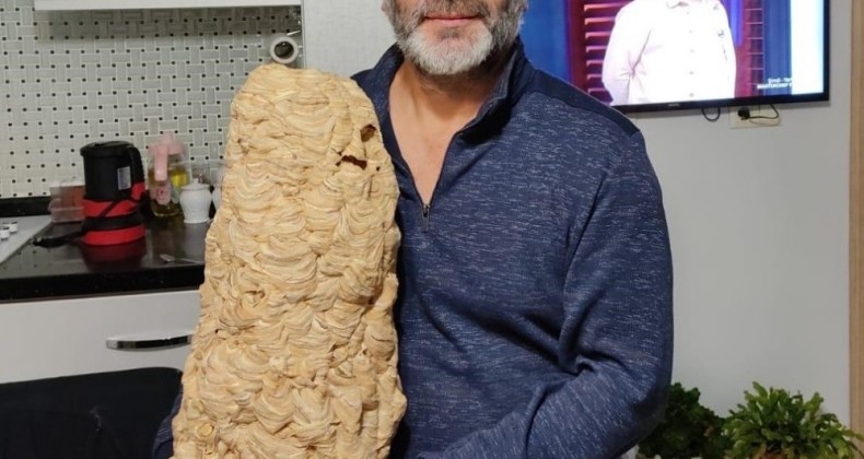 Evin içindeki dev yaban arısı yuvası görenleri şaşırtıyor