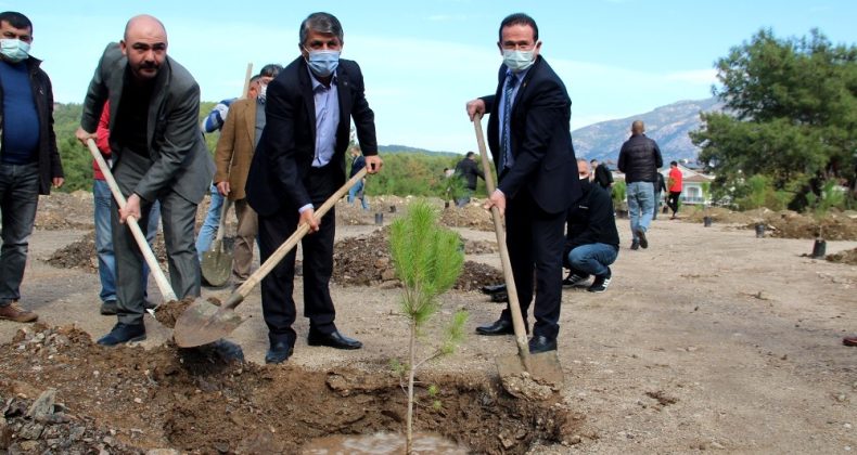 Fethiyeli Ülkücüler, Alparslan Türkeş anısına fidan dikti