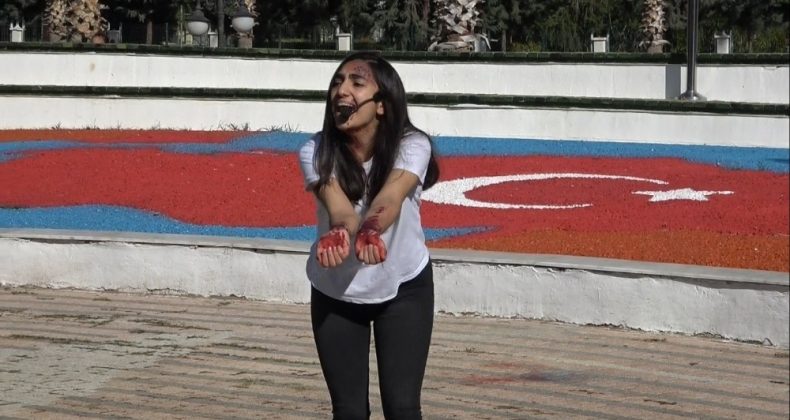 Kadına şiddete sokak tiyatrosu ile dikkat çektiler