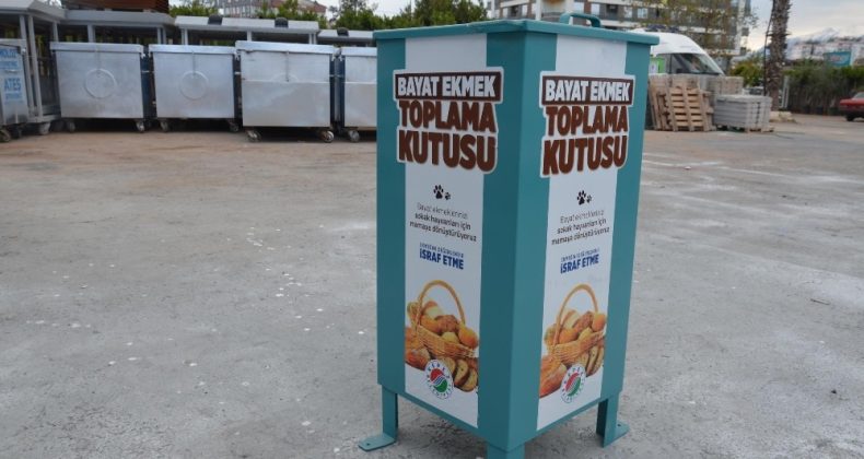 Kepez’de bayat ekmekler sokak hayvanlarına mama olacak