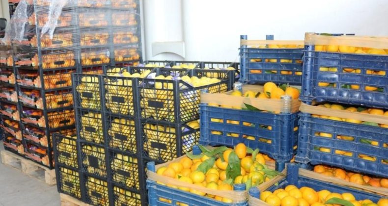 Koronaya karşı vitamin desteği