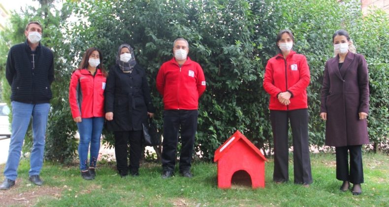 Sokakta üşüyen hayvanlar için barınaklar yaptılar