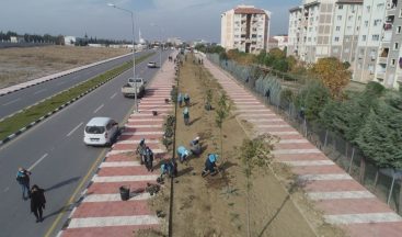 Susuzluğa dayanıklı bitkiler Manisa’yı renklendirecek