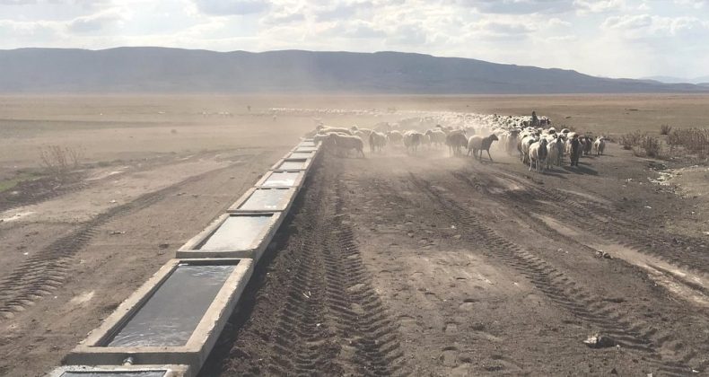 Van Büyükşehir Belediyesi 120 mahalleye bin adet sıvat kurdu