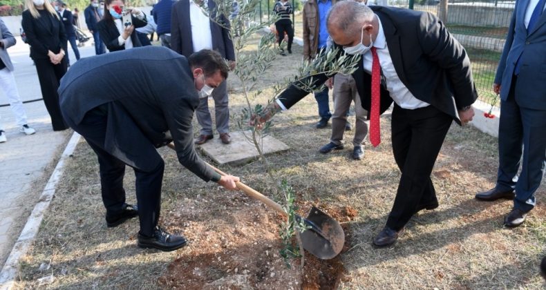 Yenişehir’deki okullarda bin adet zeytin fidanı toprakla buluştu