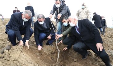 1 milyon ceviz fidanı toprakla buluşacak