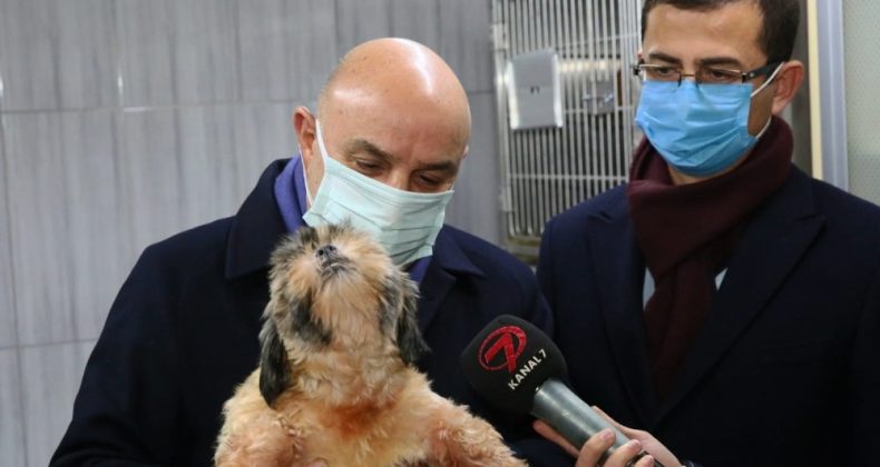 68 Cins Köpek Keçiören Belediyesi’nin Koruması Altında