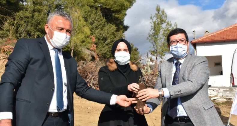 80 bin lavanta toprakla buluştu