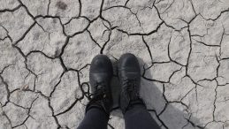 Acil tedbir çağrısı yaptı, kuraklık tarımı vuracak