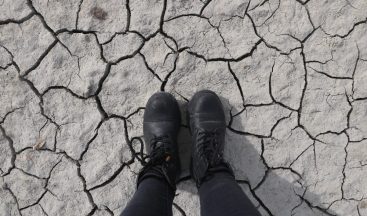 Acil tedbir çağrısı yaptı, kuraklık tarımı vuracak