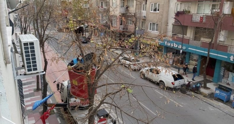 Ağaçta iki gün boyunca mahsur kalan yavru kedi kurtarıldı