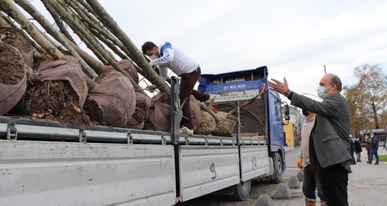 Akçakoca Belediyesi daha yeşil bir ilçe için çalışıyor