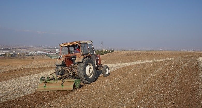 Akyurt’a 25 Dönümlük Meyve Bahçesi