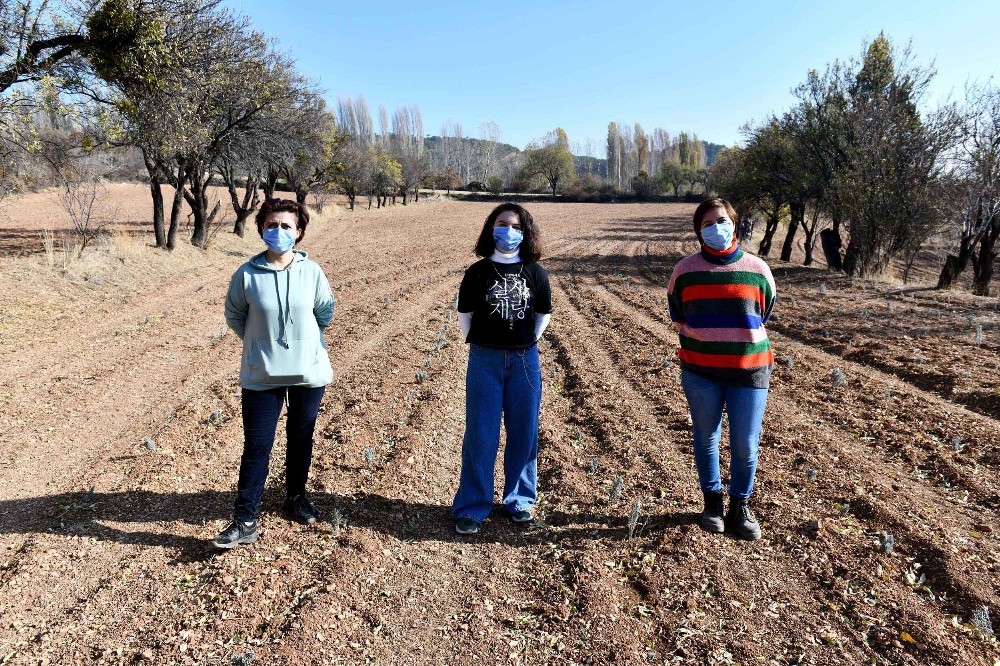 Ankara Nallıhan’da Boş Araziler Tarıma Kazandırıyor
