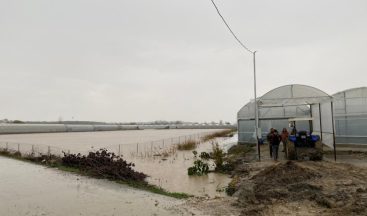 Antalya’da 3 ev sular altında kaldı, mahsur kalanları itfaiye kurtardı