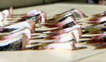 Antalya’da ilk günde 2 bin kuyruk toplandı