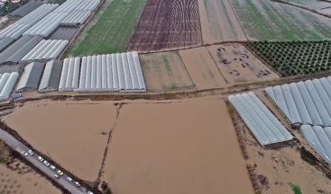 Antalya’da sel 9 bin 530 dekar ekili alana zarar verdi