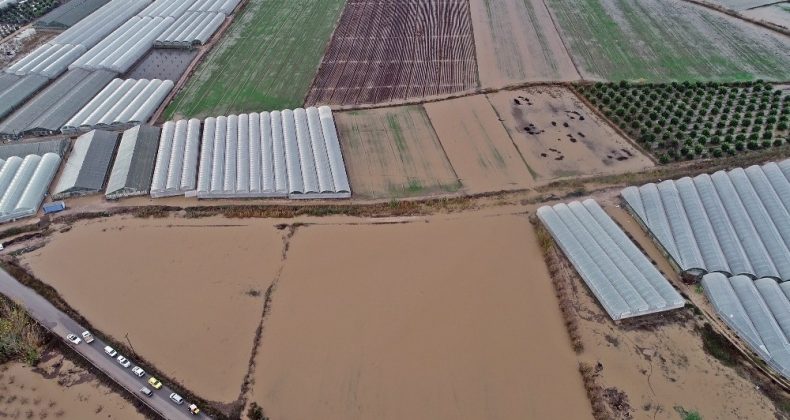 Antalya’da sel 9 bin 530 dekar ekili alana zarar verdi