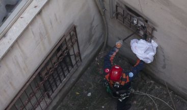 Apartman boşluğunda bir haftadır mahsur kalan kediyi itfaiye kurtardı