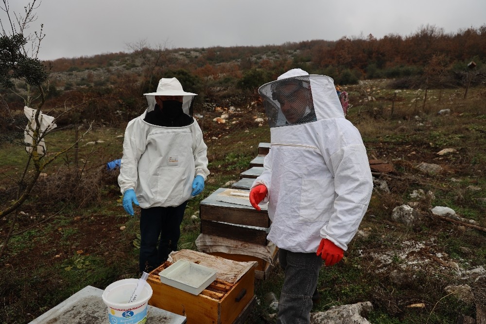 Arı kolonisinde “varroa” hastalığı tespit edilen üreticinin arıları kurtarıldı
