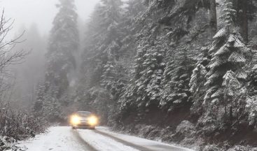 Artvin´de kar yağışı etkili oldu