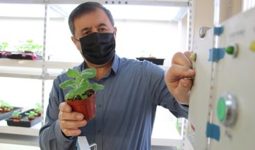 5 aşı adayından 3’ü ı hayvanlar üzerinde test edildi, sonuçlar umutlandırdı