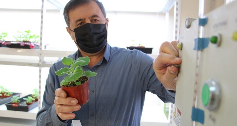 5 aşı adayından 3’ü ı hayvanlar üzerinde test edildi, sonuçlar umutlandırdı