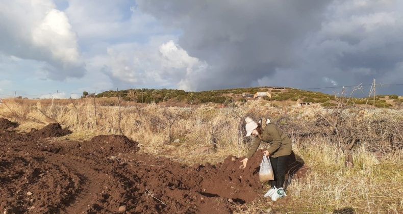 Ayvalık’ta 4 Kurum “Yeşil Adımlar” İçin Bir Arada