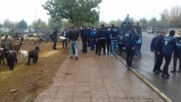 Bağlar’da yeni tedbirler ışığında denetim seferberliği