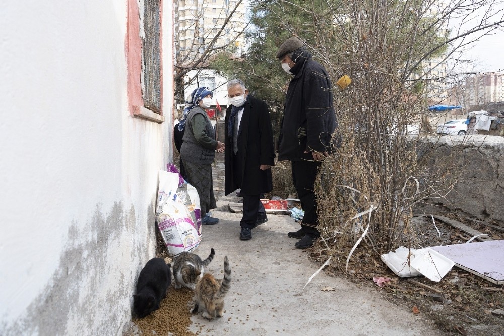 Başkan Büyükkılıç, mektupla beslediği sokak hayvanlarına destek isteyen vatandaşı ziyaret etti