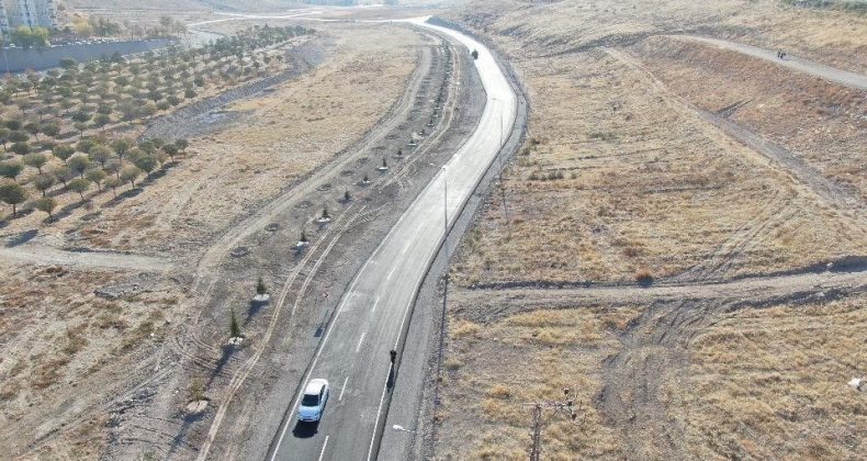 Kayseri Kocasinan’da Ağaçlandırma Projeleri