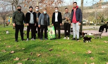 Başkan Şayir, sokak hayvanlarını unutmadı