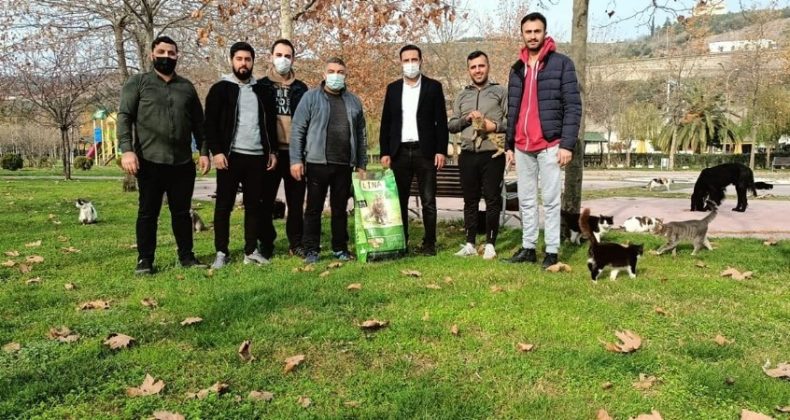 Başkan Şayir, sokak hayvanlarını unutmadı