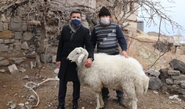 Başkandan koyunlara iade-i ziyaret