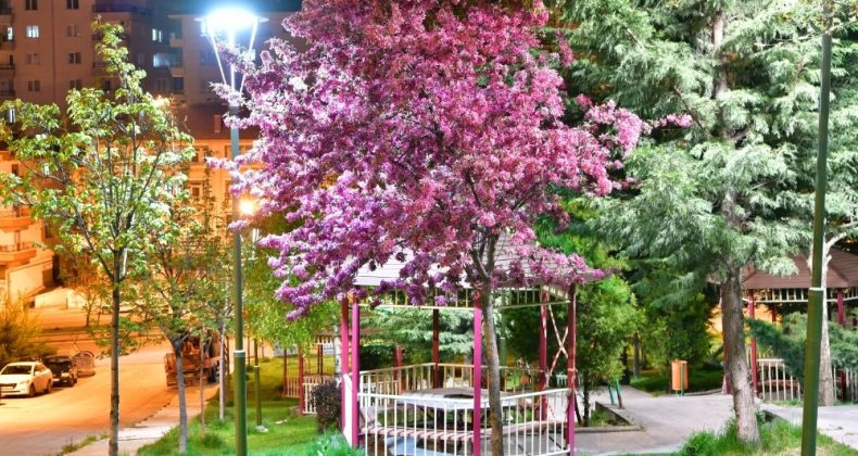 Başkentin parlayan yıldızı Mamak