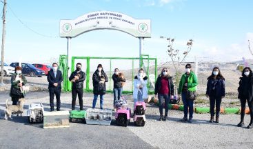 Başkent’te petshoplara yapılan baskında 21 hayvana el konuldu