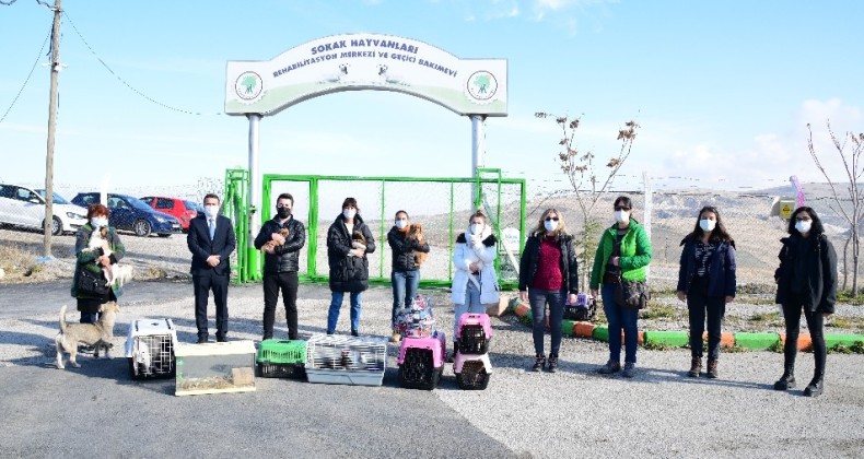 Başkent’te petshoplara yapılan baskında 21 hayvana el konuldu